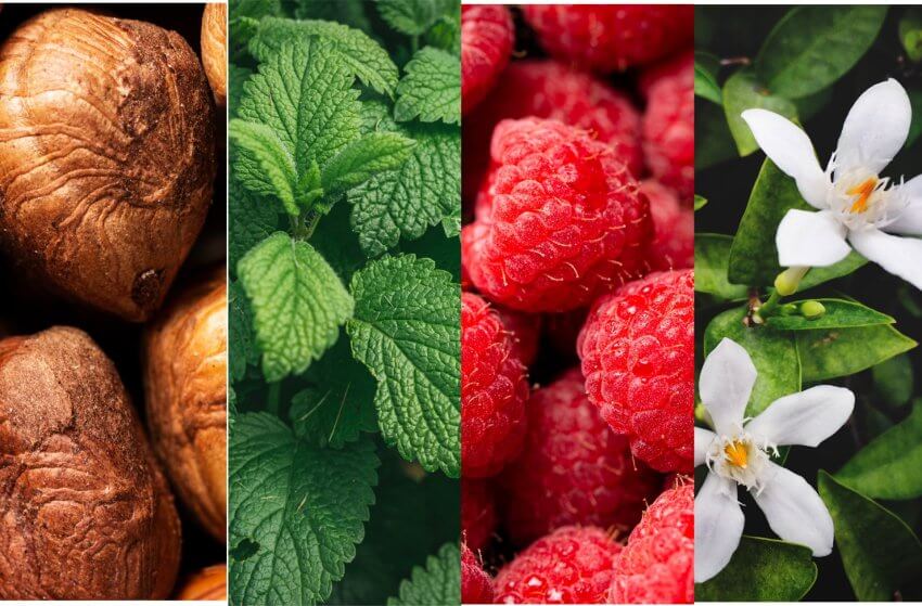 Compléments Alimentaires & Naturels